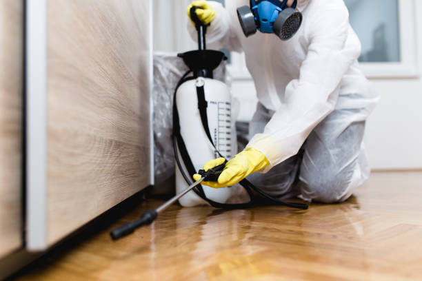 Best Rat Extermination Near Me  in Beloit, OH