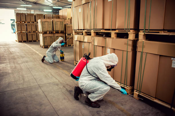 Best Pest Prevention Services  in Beloit, OH
