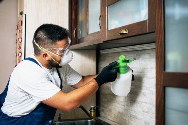 Best Pest Removal Services  in Beloit, OH