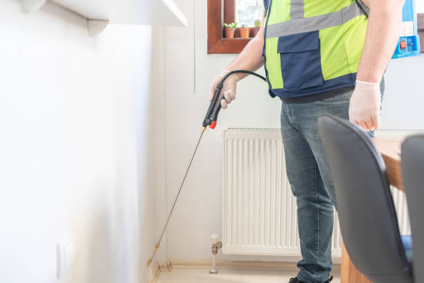 Best Emergency Pest Control  in Beloit, OH