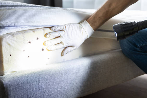 Pest Control for Restaurants in Beloit, OH