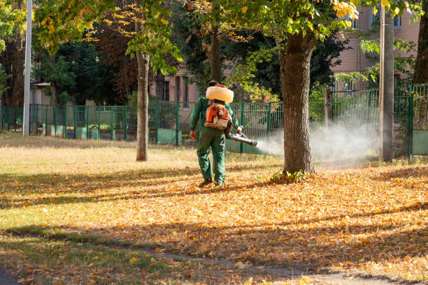 Best Residential Pest Control  in Beloit, OH