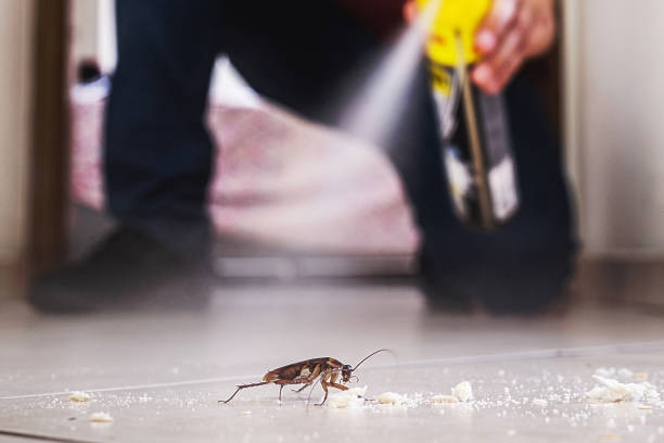 Best Commercial Pest Control Services  in Beloit, OH
