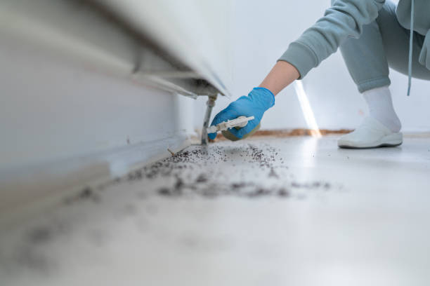 Best Wildlife Control Services  in Beloit, OH